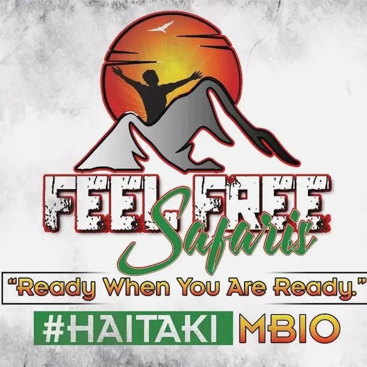 Feel Free Safaris